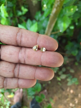 gem mining experience ratnapura